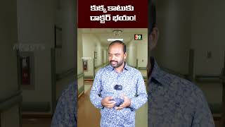 కుక్క కాటుకు డాక్టర్ భయం! | HOSPITAL | @ap39tv