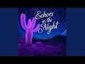 Echoes In The Night
