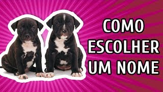 NOMES PARA CACHORROS | COMO ESCOLHER O NOME IDEAL