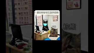 假如动物有肛肠科医院 #喵不可言 #funny #猫meme #cat #搞笑 #猫meme小剧场 #shorts