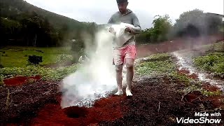 ✔... COMO PREPARAR PARA PLANTAR CAFÉ ...✔ PASSO A PASSO ( PARTE 2 ) CALCARIO E ENCHENDO COVA