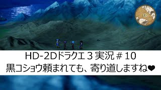 ＨＤ－２Ｄ【ドラゴンクエスト３そして伝説へ】part10（ネタバレ有り）