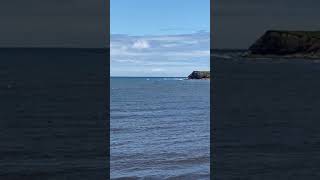 Schooner pond in Cape Breton