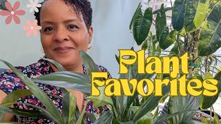 Fantastic Plant Favorites!!!! #plants #houseplants #indoorgardening #plantlover #hobby