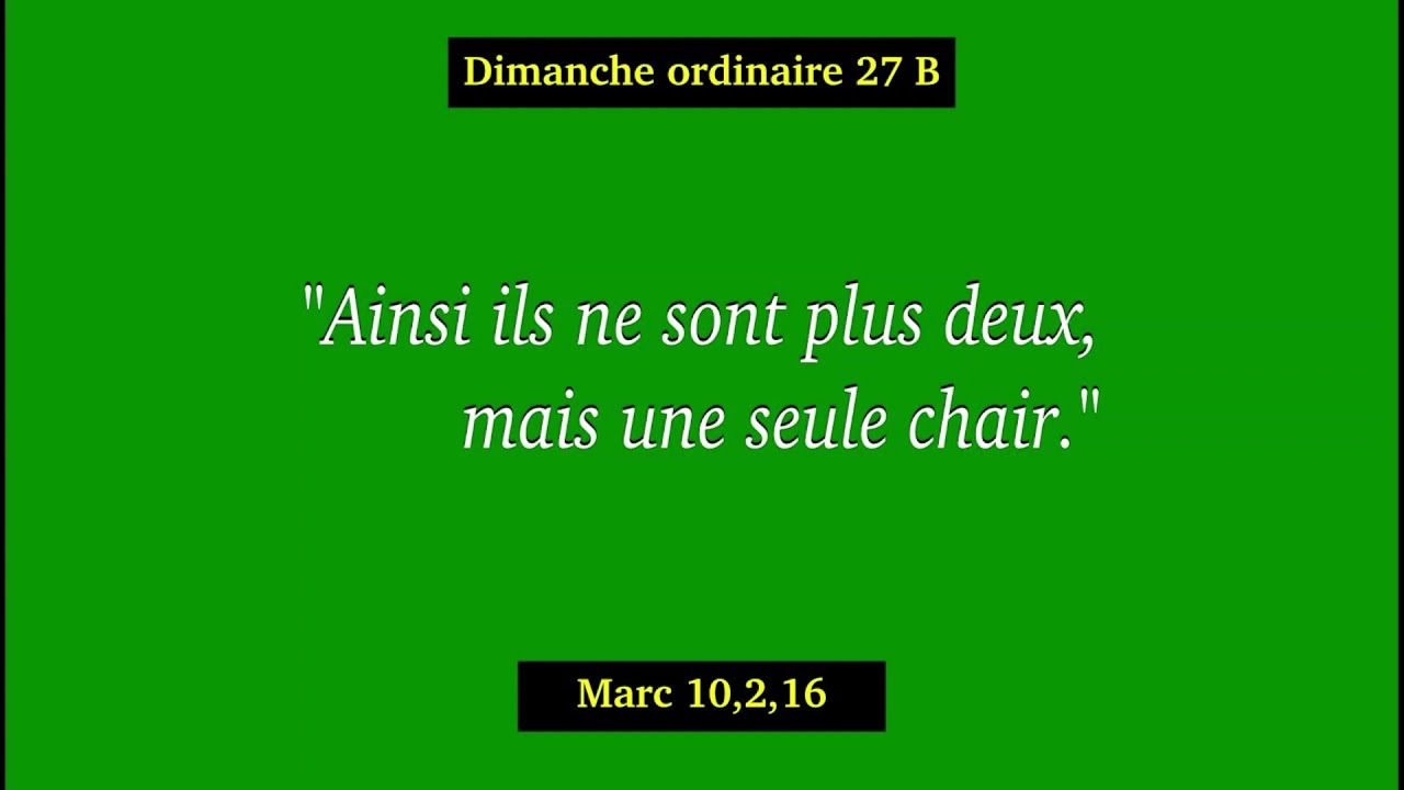 Homélie Pour Le 27e Dimanche Du Temps Ordinaire Année (B) 03 Octobre ...