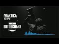 Грибы, grebz house hip-hot house type beat - PRAKTIKA (prod. Битодельня)