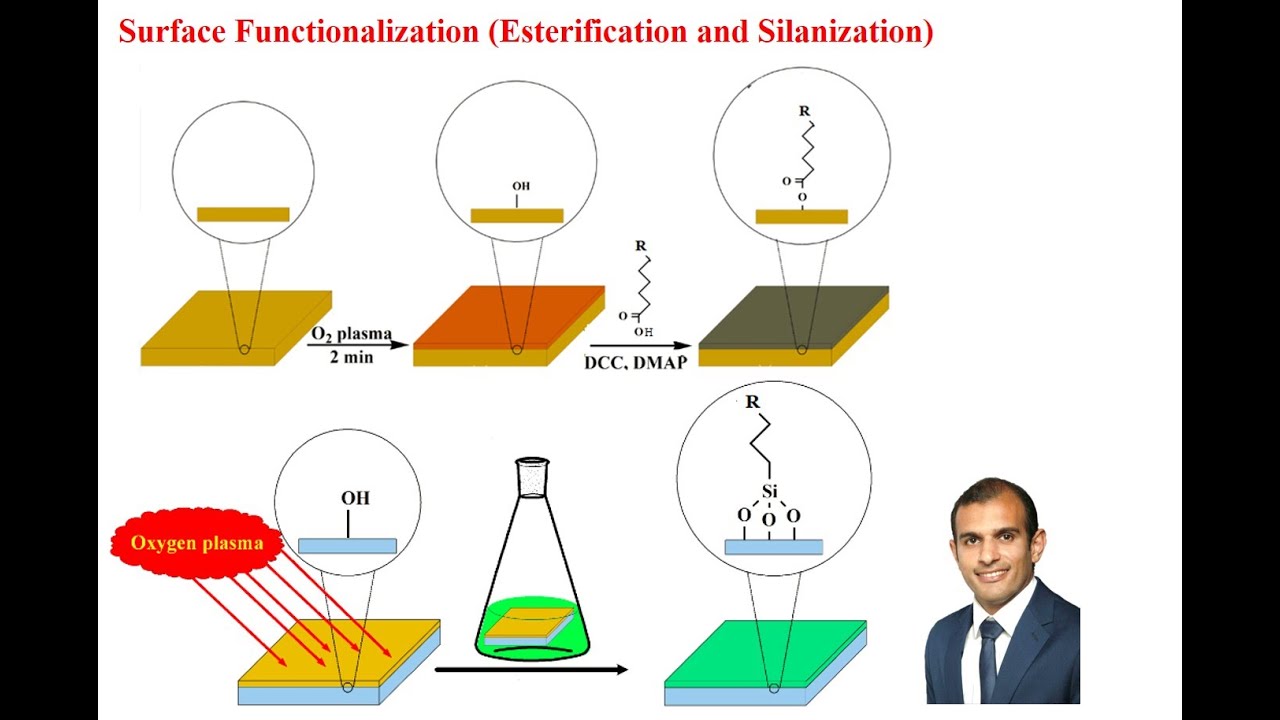 Surface Functionalization (Esterification And Silanization) - YouTube