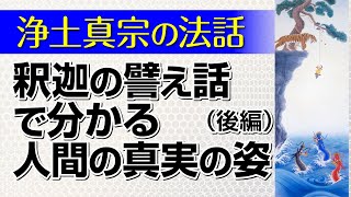 【浄土真宗の法話】釈迦の譬え話に学ぶ人間の真実の姿（後編）講師：宮本貴美代師｜親鸞会