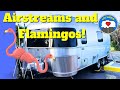 Why Airstreams And Flamingos? The Origins Of The Pink Plastic Flamingo!