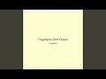 Fragments Drift Dream