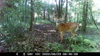 165 Acres for Sale in Southern Wisconsin- Whitetails \u0026 Waterfowl!