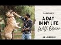 A Day In My Life with Oscar - Vlog