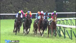 東京スポーツ杯２歳ステークス 2015(1800m)THE TOKYO SPORTS HAI NISAI STAKES 2015