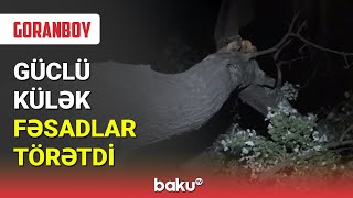 Goranboyda güclü külək fəsadlar törətdi - BAKU TV