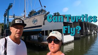 Can turtles fly? | Refitting our 20yr old Sailboat