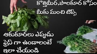 కొత్తిమీర,పాలకూర కోసం మీకు మంచి టిప్స్/kitchen tips/coriander storege tips/kitchen tips in telugu🥬🥦