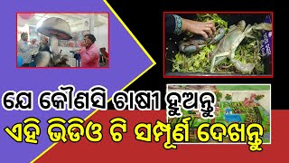 କୃଷକ ମେଳାରେ ସବୁଠୁ ବଡ଼ ଛତୁ , ବଡ କଙ୍କଡା , ବଡ ଟ୍ରାକ୍ଟର#odia #latestnews #bbsr