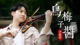 你淺淺的微笑就像《烏梅子醬》小提琴版