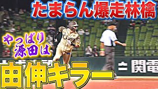 【爆走林檎】源田壮亮『タイムリー三塁打 “由伸キラー”を証明』