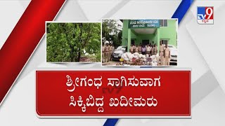 Sandalwood Thieves Arrested In Shivamogga | ಶಿವಮೊಗ್ಗದ ಚಾಲಾಕಿ ಚೋರರಿಗೆ ಕಡೆಗೂ ಹೆಡೆಮುರಿ