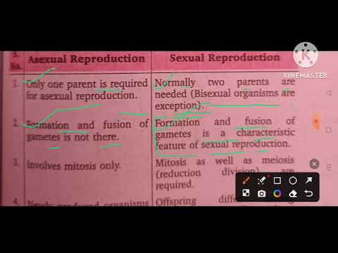 Difference Between Asexual And Sexual Reproduction Class 10 Biology ...