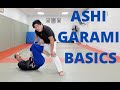 Ashi garami Basics