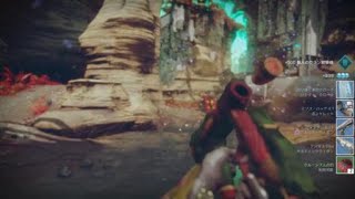 頑張れライオンちゃん！ファイティングライオンで行くDESTINY2 PvP 015