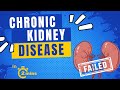 Chronic Kidney Disease | Causes and Clinical Manifestations - in 2 mins!