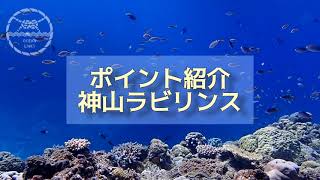 ダイビングポイント紹介　慶良間諸島チービシ　神山ラビリンス