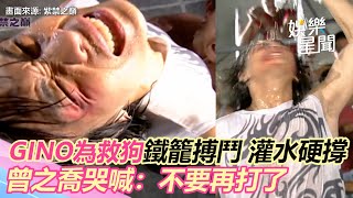 紫禁之巔精華／GINO為救狗鐵籠搏鬥 誇張灌水硬撐 曾之喬哭喊：不要再打了｜三立新聞網 SETN.com