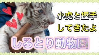 #15 やなの日常① しろとり動物園