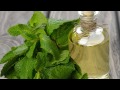 essential oils peppermint