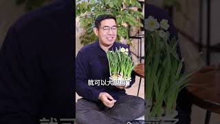 养水仙花怎么修剪？