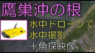 【福井県・鷹巣沖の根】水中ドローンで水中撮影【魚探映像付き】