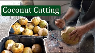 开椰子神器 新加坡 | Coconut cutting Singapore