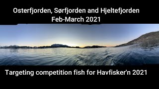 Fjordfiskegutta Ep. 11 Oster-, Sør- and Hjeltefjorden, targeting fish for Havfisker'n 2021 March.