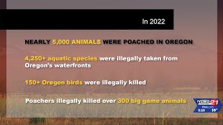 Poaching---a problem that continues to rise in Oregon