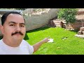 Overseeding Grass/ With Results!! -diy Lawn Guy