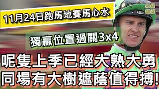 【賽馬貼士】香港賽馬 11月24日 跑馬地馬場 獨贏位置過關3x4| 呢隻上季已經大熟大勇 同場有大樹遮蔭值得搏!
