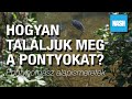 HOGYAN TALÁLJUK MEG A PONTYOKAT DRÁGA ESZKÖZÖK NÉLKÜL❓- PONTYHORGÁSZ ALAPISMERETEK