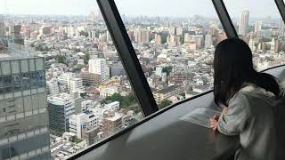 文京シビックホール展望台からの風景