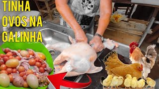 Matando Limpando E Picando Frango Caipira Vlog No Sítio