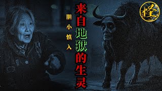 😱午夜惊魂，农村小院惊现阴间生物，二伯母命悬一线，大舅哥遭受牵连遭遇诡异车祸。这一切的背后到底是什么？