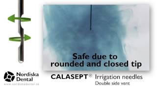 Nordiska Dental - Calasept Irrigation Needles