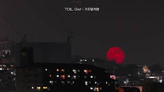 [Playlist] 넌 마치 별처럼