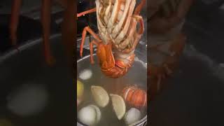 How to cook lobster