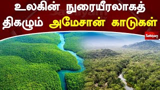 உலகின் நுரையீரலாகத் திகழும் அமேசான் காடுகள் | Amazon Forest | Sathiyam Tv News