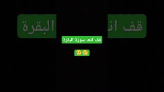 قف انه سورة البقرة#shorts