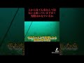 三崎港水中動画　 三浦半島 三崎港 さかな 魚 水中動画 underwatercamera underwatervideo