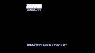 ねおんが知ってるロブロックスハッカー